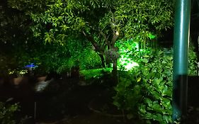 Villa dei fiori B&B